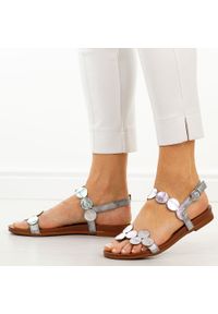 Srebrne płaskie sandały damskie M.Daszyński 1958-1. Okazja: na spacer, na co dzień. Kolor: srebrny. Materiał: skóra. Sezon: wiosna, lato. Styl: casual, elegancki, klasyczny, wakacyjny #1