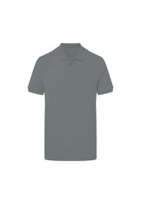 SG - Męska Koszulka Polo Signature Stretch Bez Metki. Typ kołnierza: polo. Kolor: szary