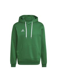 Bluza do piłki nożnej męska Adidas Entrada 22. Kolor: wielokolorowy, biały, zielony. Materiał: bawełna, poliester