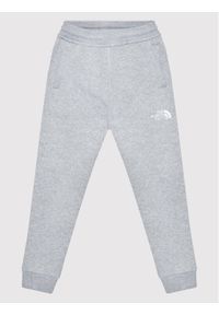 The North Face Spodnie dresowe NF0A2WAI Szary Regular Fit. Kolor: szary. Materiał: bawełna #1