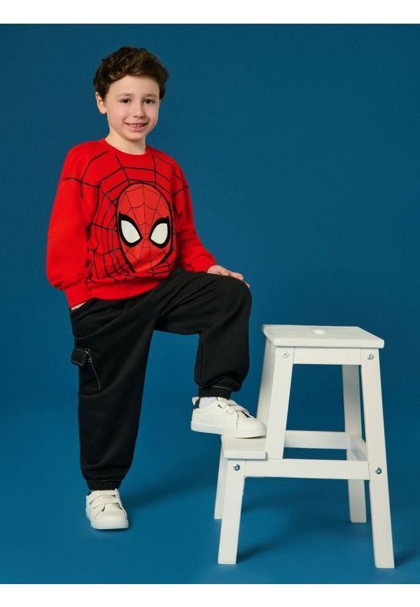 Sinsay - Bluza Spider-Man - czerwony. Kolor: czerwony. Długość rękawa: długi rękaw. Długość: długie. Wzór: motyw z bajki