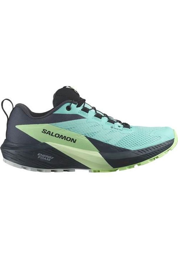 salomon - Buty do biegania damskie Salomon Sense Ride 5 Gtx. Kolor: niebieski. Materiał: guma, materiał, tkanina, syntetyk. Szerokość cholewki: normalna