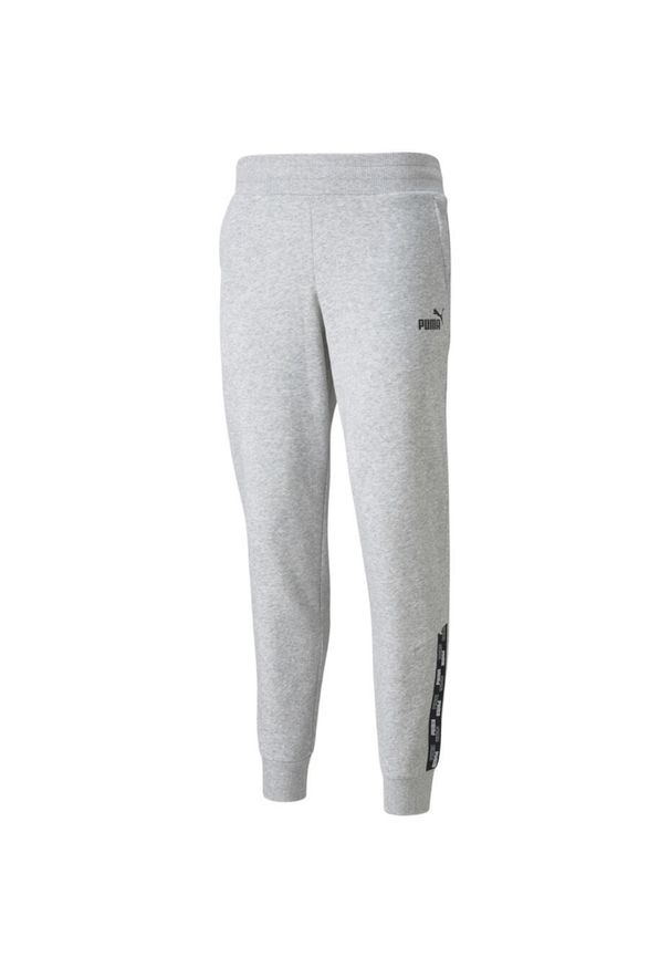 Spodnie damskie Puma Power Pants FL szare. Kolor: szary. Długość: długie