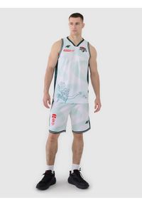 4f - 4F Koszulka meczowa replika domowa z sezonu 2024/25 męska 4F x PLK - Zastal Zielona Góra - multikolor XXL. Typ kołnierza: dekolt w serek. Kolor: wielokolorowy. Materiał: włókno, dzianina, materiał, syntetyk. Wzór: gładki, nadruk, ze splotem. Sport: koszykówka, fitness