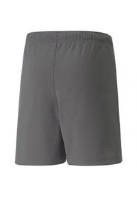 Puma - Spodenki TeamRISE Dla Dzieci. Kolor: szary. Styl: sportowy. Sport: turystyka piesza