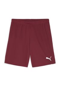 Szorty Puma TeamGloal. Kolor: czerwony, wielokolorowy, biały. Sport: piłka nożna #1