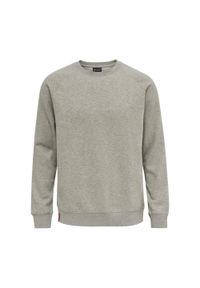 Bluza Hummel Red Classic. Kolor: szary. Materiał: poliester, bawełna. Sport: fitness #1