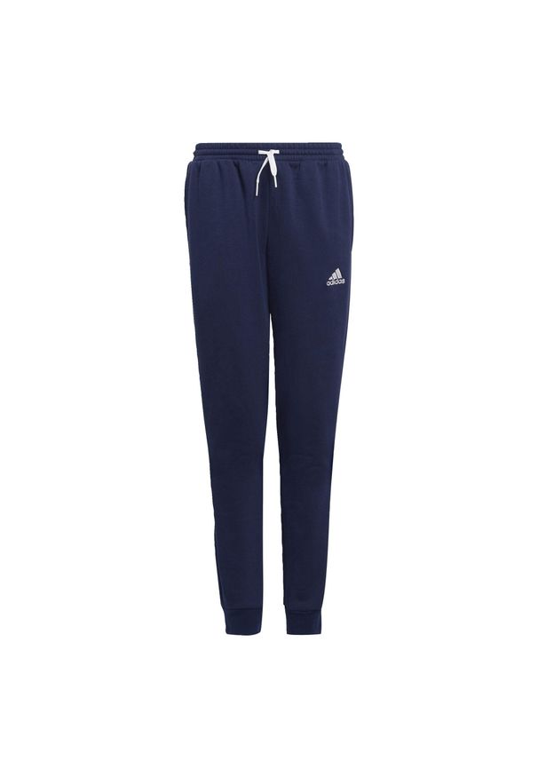 Adidas - Entrada 22 Sweat Pants. Kolor: niebieski. Materiał: polar, dresówka