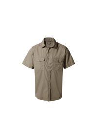CRAGHOPPERS - Koszula podróżnicza męska Craghoppers Kiwi SS Shirt. Kolor: brązowy. Sport: turystyka piesza