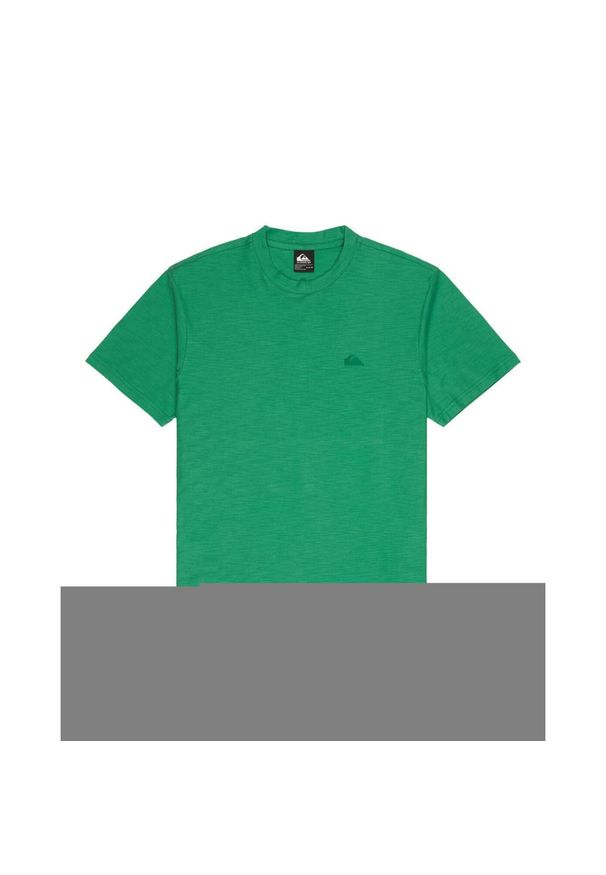 Quiksilver - Koszulka z krótkim rękawem dla Mężczyzn SLUB ROUNDNECK Zielony. Kolor: zielony. Materiał: bawełna, tkanina. Długość rękawa: krótki rękaw. Długość: krótkie. Wzór: haft