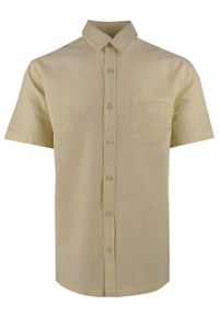 Koszula Weekendowa z Lnem, Krótki Rękaw - Brave Soul - Beżowa. Okazja: na co dzień. Kolor: brązowy, wielokolorowy, beżowy. Materiał: bawełna, len. Długość rękawa: krótki rękaw. Długość: krótkie. Styl: casual #1