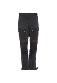 Spodnie turystyczne dla kobiet Whistler Anissy. Kolor: wielokolorowy, szary, czarny. Sezon: lato. Sport: turystyka piesza, narciarstwo #1