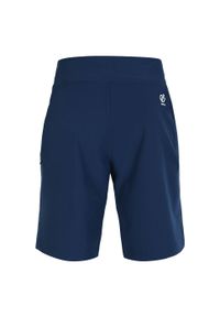 DARE 2B - Shorty Męskie Duration II. Kolor: niebieski. Sport: turystyka piesza