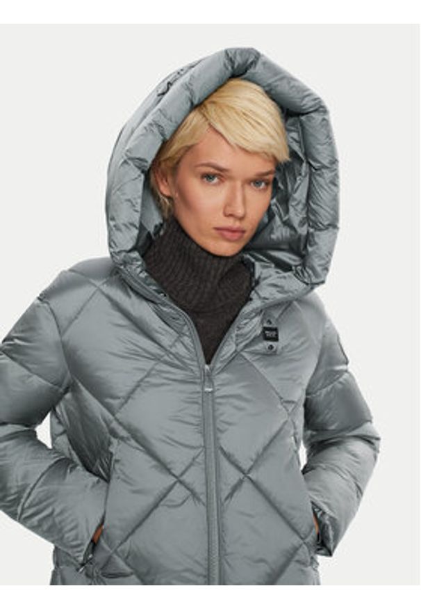 Blauer Kurtka zimowa 24WBLDC02273 Szary Regular Fit. Kolor: szary. Materiał: syntetyk. Sezon: zima