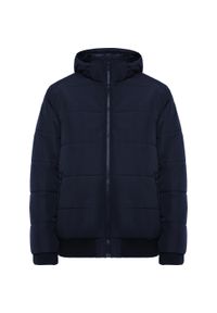 ROLY - Męska Ocieplana Kurtka Surgut. Kolor: niebieski. Materiał: puch. Sport: turystyka piesza #1
