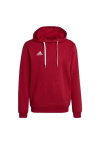 Bluza do piłki nożnej męska Adidas Entrada 22. Kolor: czerwony. Materiał: bawełna, poliester