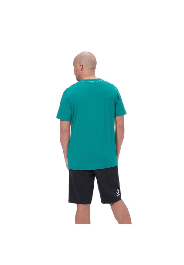 CANTERBURY - Bawełniana koszulka Irlande AM 2025. Kolor: wielokolorowy, biały, zielony. Materiał: bawełna