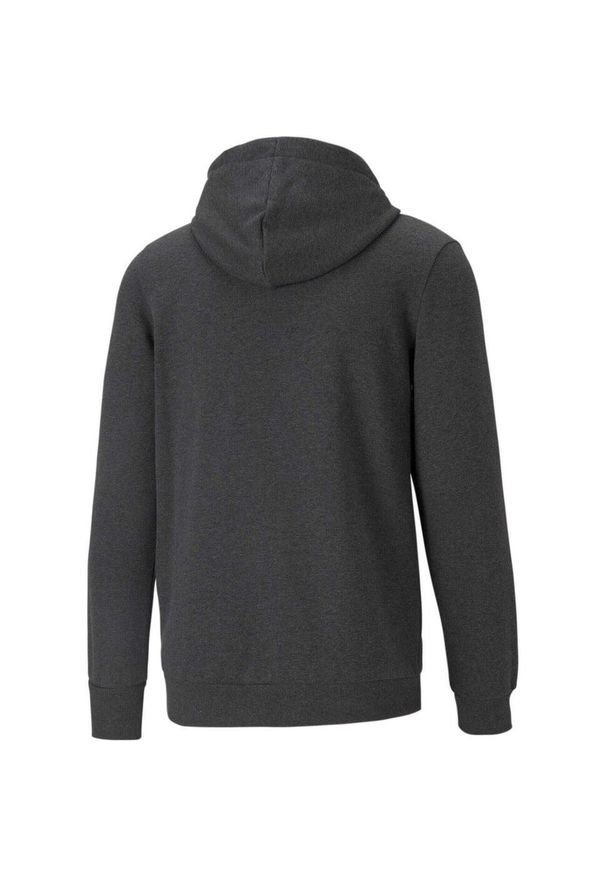 Bluza z kapturem Puma Essentials Big Logo, Mężczyźni. Typ kołnierza: kaptur. Kolor: szary. Materiał: bawełna, materiał