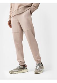 4f - Spodnie dresowe joggery męskie. Kolor: brązowy. Materiał: dresówka #2