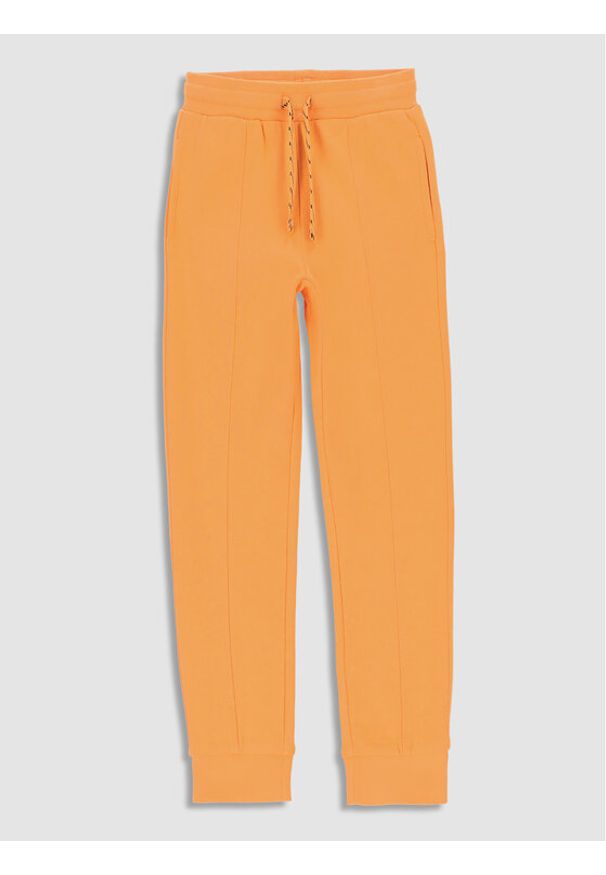 COCCODRILLO - Coccodrillo Spodnie dresowe WC3120101DRK Pomarańczowy Regular Fit. Kolor: pomarańczowy. Materiał: bawełna