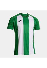 Joma Inter IV Koszulka męska V-neck Zielono-Biała 3XS. Kolor: zielony, biały, wielokolorowy. Sport: piłka nożna