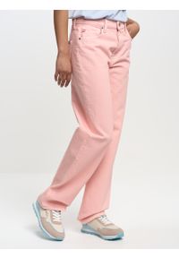 Big-Star - Spodnie jeans damskie różowe Meg 601. Kolor: różowy. Wzór: paski. Sezon: lato, wiosna