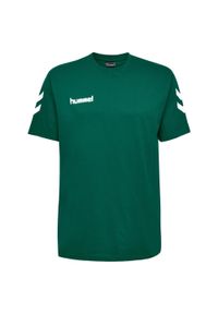 Koszulka sportowa z krótkim rękawem męska Hummel hmlGO cotton. Kolor: zielony. Długość rękawa: krótki rękaw. Długość: krótkie