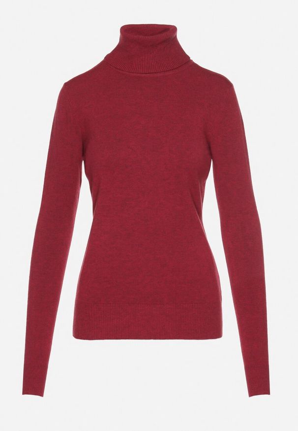Born2be - Bordowy Golf Sweter z Wiskozą i Kaszmirem Zailaya. Okazja: na co dzień. Typ kołnierza: golf. Kolor: czerwony. Materiał: wiskoza, kaszmir. Styl: casual