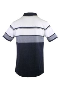 Koszulka Polo - Męska - Pako Jeans - Odcienie Granatów, Pasy. Okazja: na co dzień. Typ kołnierza: polo. Materiał: bawełna. Wzór: paski, prążki. Styl: casual