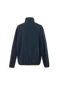 Regatta - Polarowy Top Męska Suwak Do Połowy Frankie. Kolor: niebieski. Materiał: polar. Sezon: zima. Styl: sportowy. Sport: turystyka piesza #2