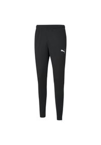Spodnie fitness męskie Puma teamRISE Poly Training. Kolor: czarny. Sport: fitness