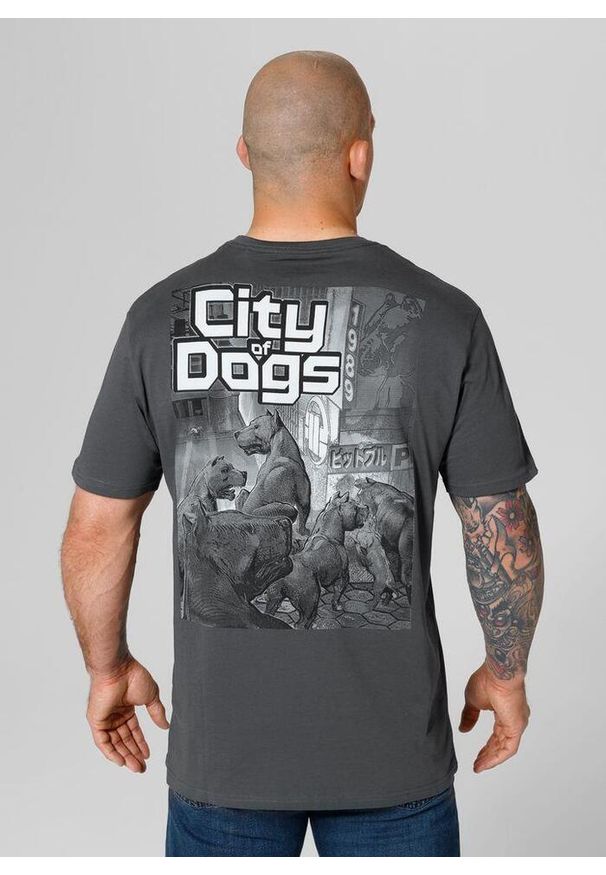 PITBULL - Koszulka męska Pitbull City Of Dogs. Kolor: szary