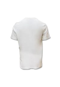 Koszulka sportowa męska Nike DD0779100. Kolor: biały. Materiał: bawełna. Długość rękawa: krótki rękaw. Długość: krótkie. Sport: fitness