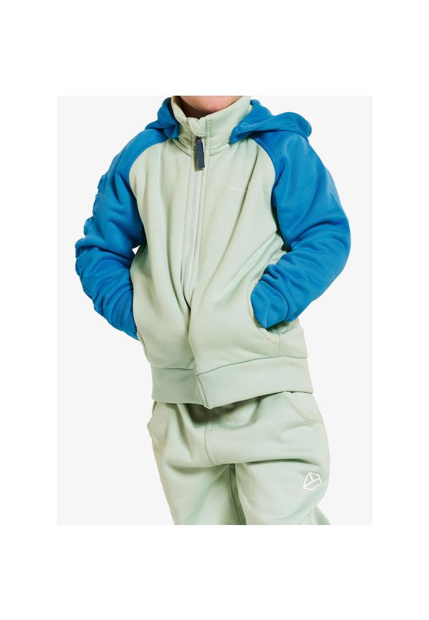 Bluza z kapturem dziecięca Didriksons Corin Full Zip. Typ kołnierza: kaptur. Kolor: wielokolorowy, niebieski, zielony