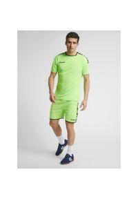 Hummel Koszulka sportowa męska T-shirt Authentic Poly Jersey. Kolor: zielony. Materiał: jersey. Sport: fitness, piłka nożna