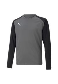 Koszulka bramkarska z długim rękawem Puma Team Pacer. Kolor: szary, czarny, wielokolorowy, biały. Materiał: poliester. Długość rękawa: długi rękaw. Długość: długie. Sport: piłka nożna #1