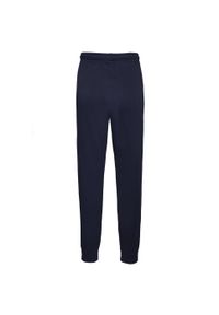 Spodnie sportowe damskie Nike Wmns Fleece Pants. Kolor: niebieski, wielokolorowy, biały. Materiał: dresówka