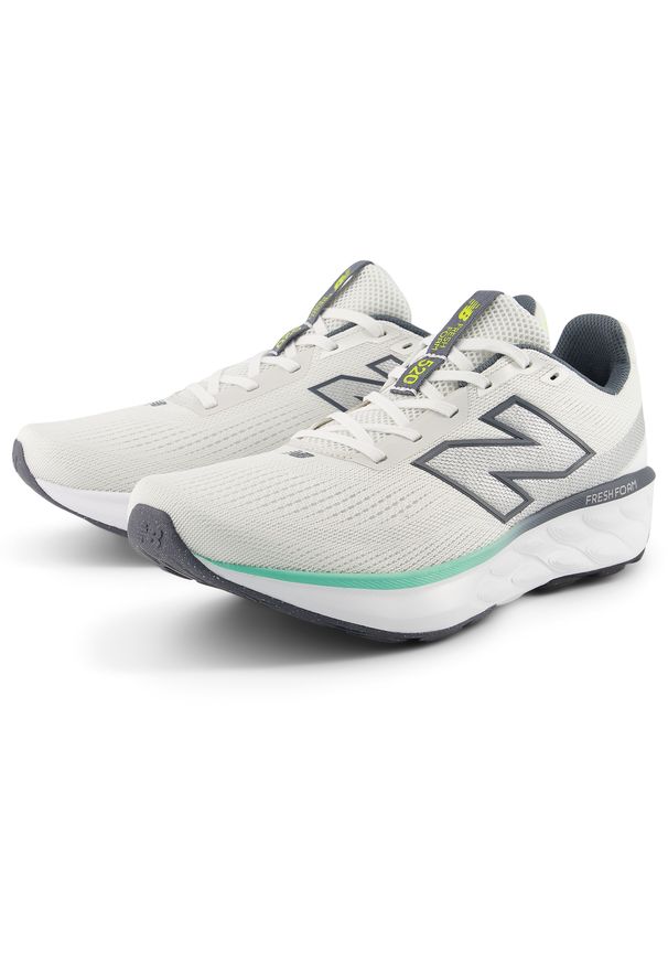 Buty męskie New Balance Fresh Foam x 520 v9 M5206DX – białe. Kolor: biały. Szerokość cholewki: normalna. Sport: fitness