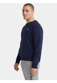 Sweter Męski O'Neill Small Logo Crew. Kolor: niebieski. Materiał: materiał