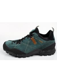 Buty trekkingowe damskie Aku Nativa GTX. Kolor: niebieski. Materiał: skóra. Szerokość cholewki: normalna