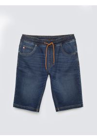 Big-Star - Szorty męskie jeansowe granatowe Parker 537. Kolor: niebieski. Materiał: jeans. Sezon: lato. Styl: sportowy #5