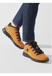 Timberland Trapery Sprint Trekker TB0A2FEP2311 Brązowy. Kolor: brązowy. Materiał: skóra, nubuk #3