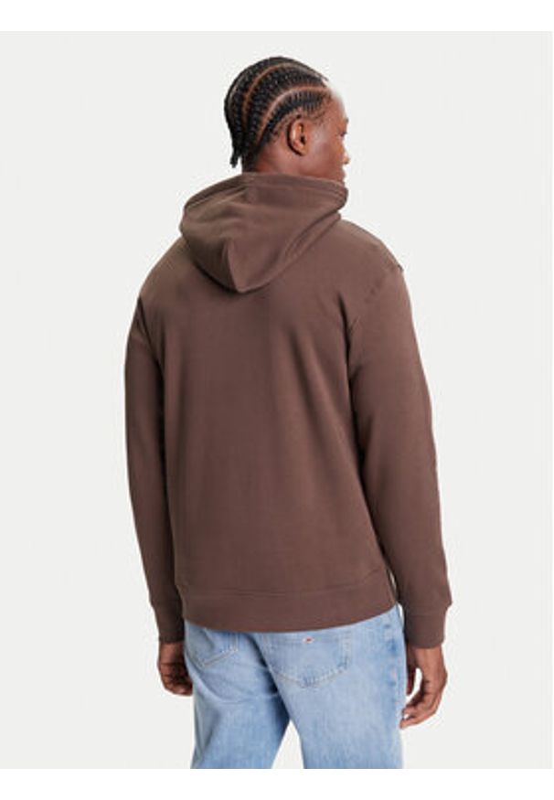 Quiksilver Bluza Salt Water Hoodie EQYFT05159 Brązowy Regular Fit. Kolor: brązowy. Materiał: bawełna