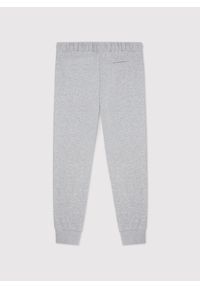 Pako Lorente - PAKO LORENTE - Szare spodnie dresowe. Okazja: na co dzień. Kolor: szary, niebieski. Materiał: dresówka. Wzór: gładki. Styl: casual #6