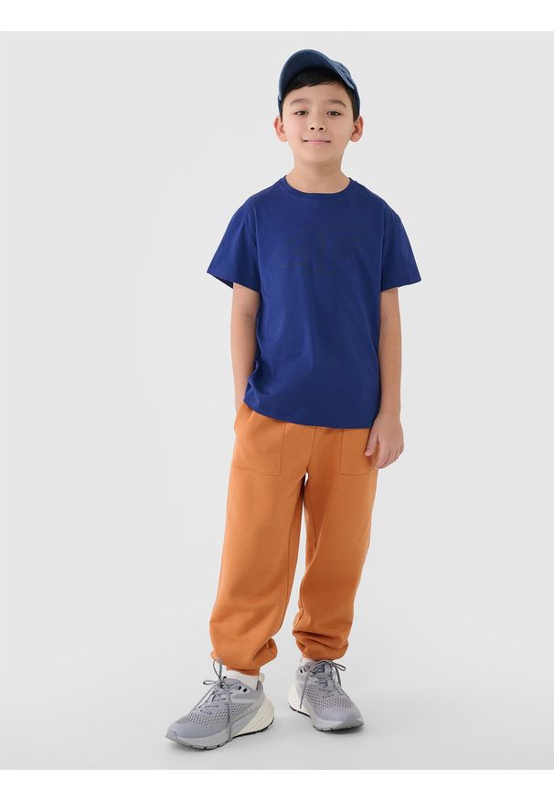 4f - 4F T-shirt oversize z nadrukiem chłopięcy - niebieski 134 (8-9 lat). Okazja: na co dzień. Kolor: niebieski. Materiał: dzianina, bawełna, jersey. Długość rękawa: krótki rękaw. Długość: krótkie. Wzór: nadruk. Sezon: lato. Styl: klasyczny, sportowy, casual
