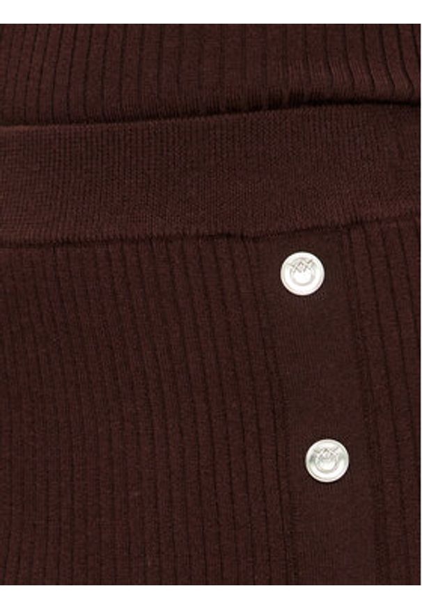 Pinko Spódnica midi Costina 104021 A15S Brązowy Regular Fit. Kolor: brązowy. Materiał: syntetyk