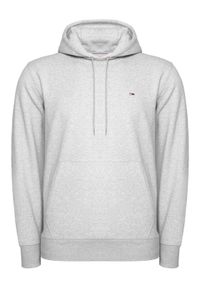 Tommy Jeans Bluza Regular Fleece DM0DM09593 Szary Regular Fit. Kolor: szary. Materiał: syntetyk #1