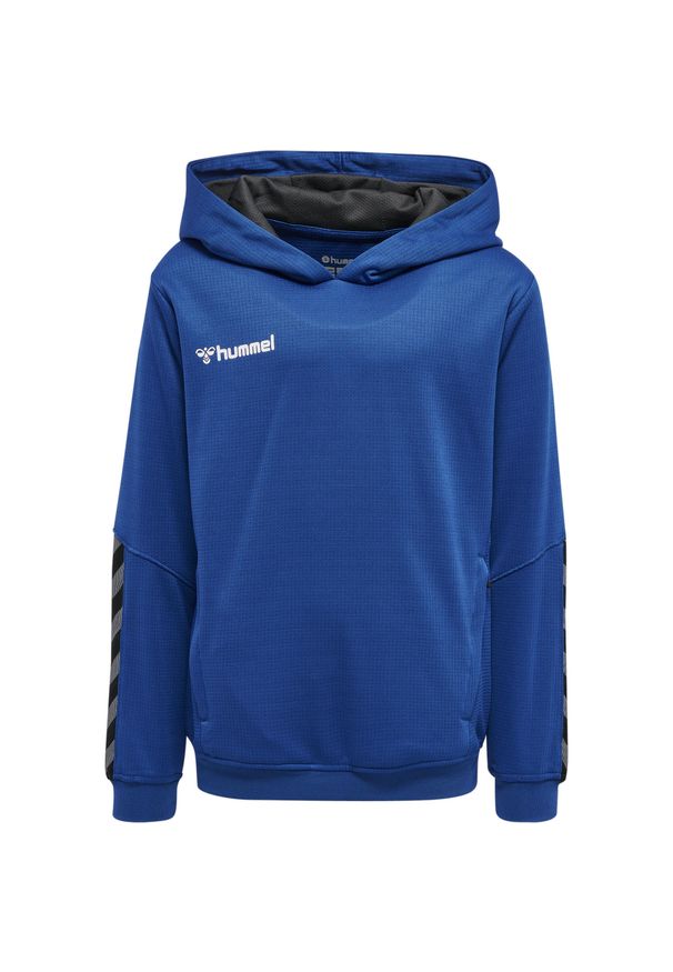 Bluza do piłki ręcznej dla dzieci Hummel hmlAUTHENTIC Poly. Kolor: niebieski. Sezon: zima