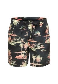 Szorty kąpielowe męskie Quiksilver Everyday Mix Volley 17". Kolor: czarny #1