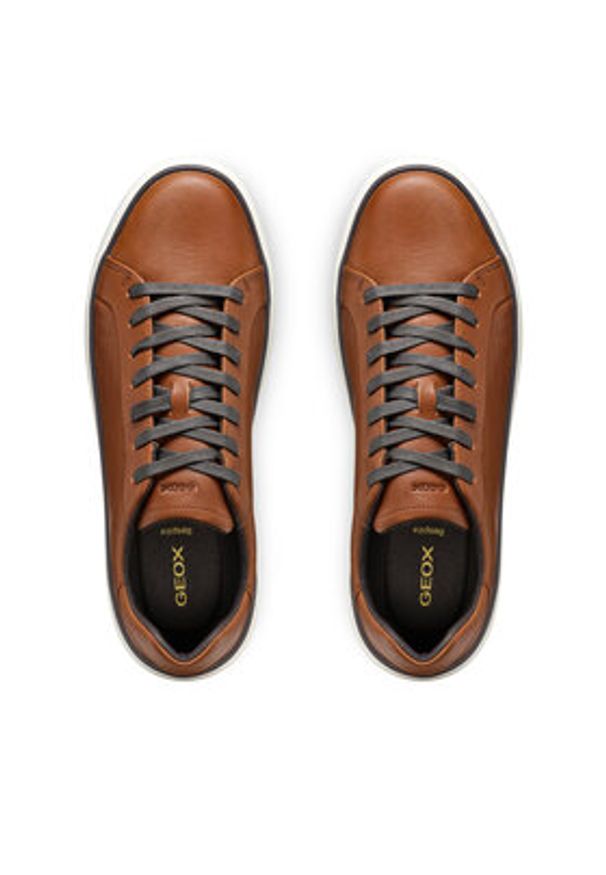 Geox Sneakersy U Zackerty U46HPA 000CL C0013 Brązowy. Kolor: brązowy. Materiał: skóra